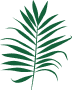 palm leaf placeholder